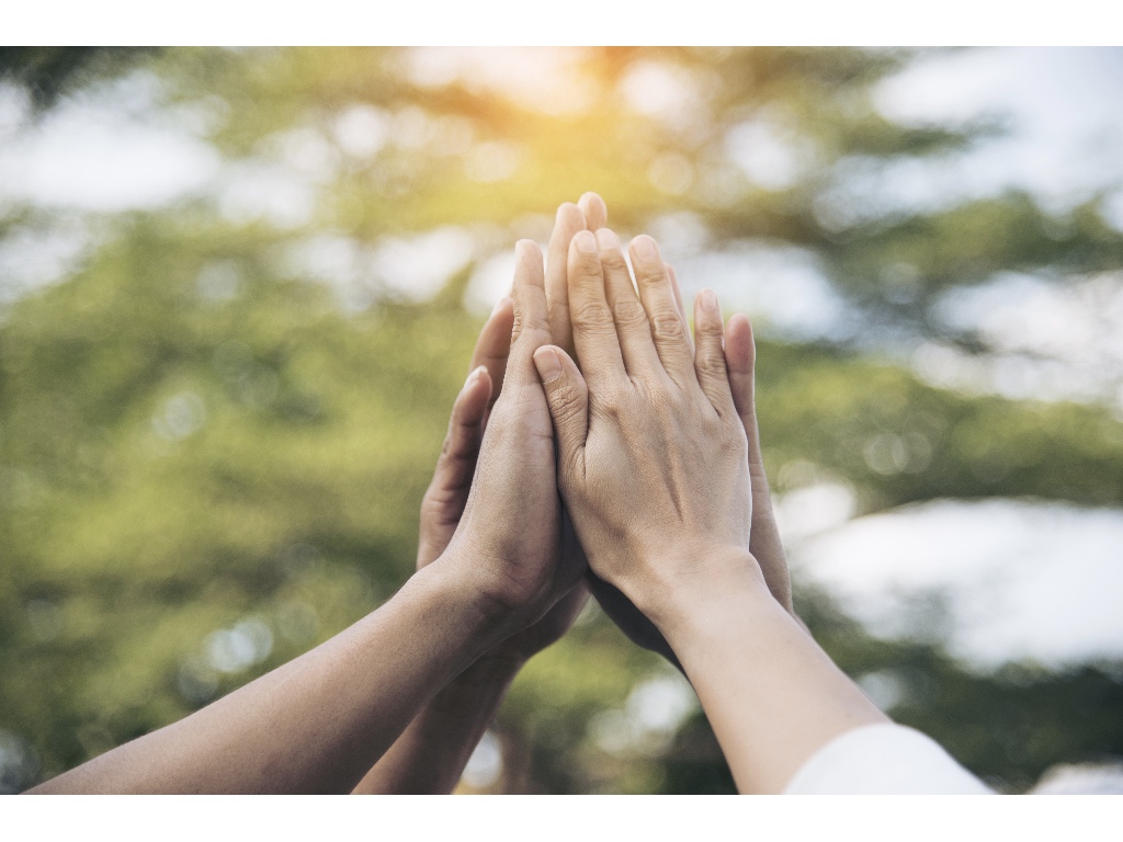 Hands-for-teamwork