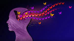 imagination