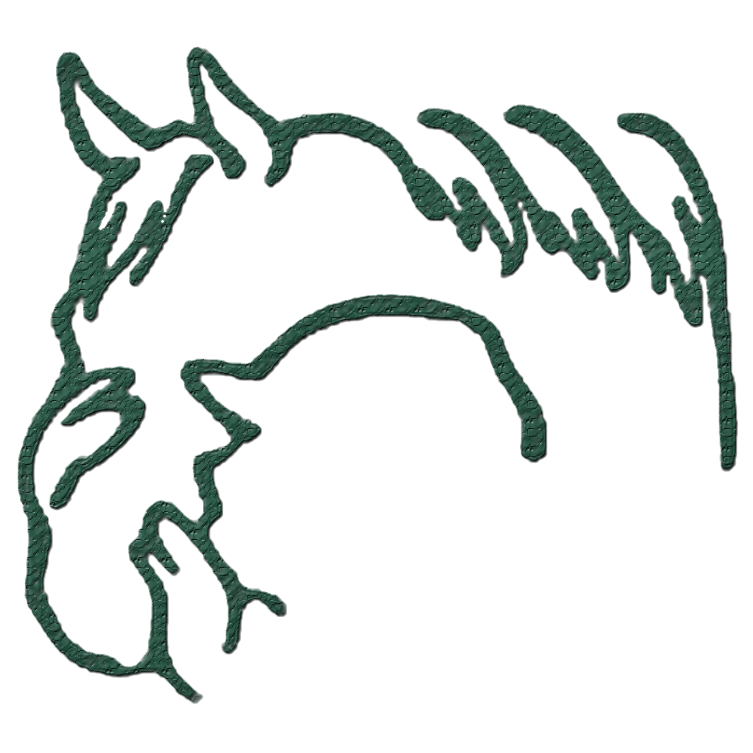 Little Bits Therapeutic Riding Association