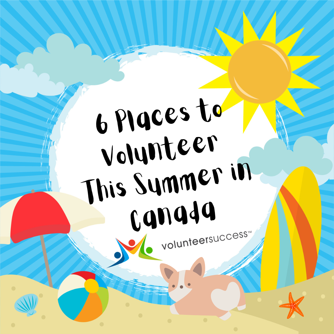 6 Places to Volunteer This Summer in Canada
