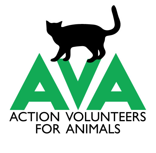 Action Volunteers for Animals