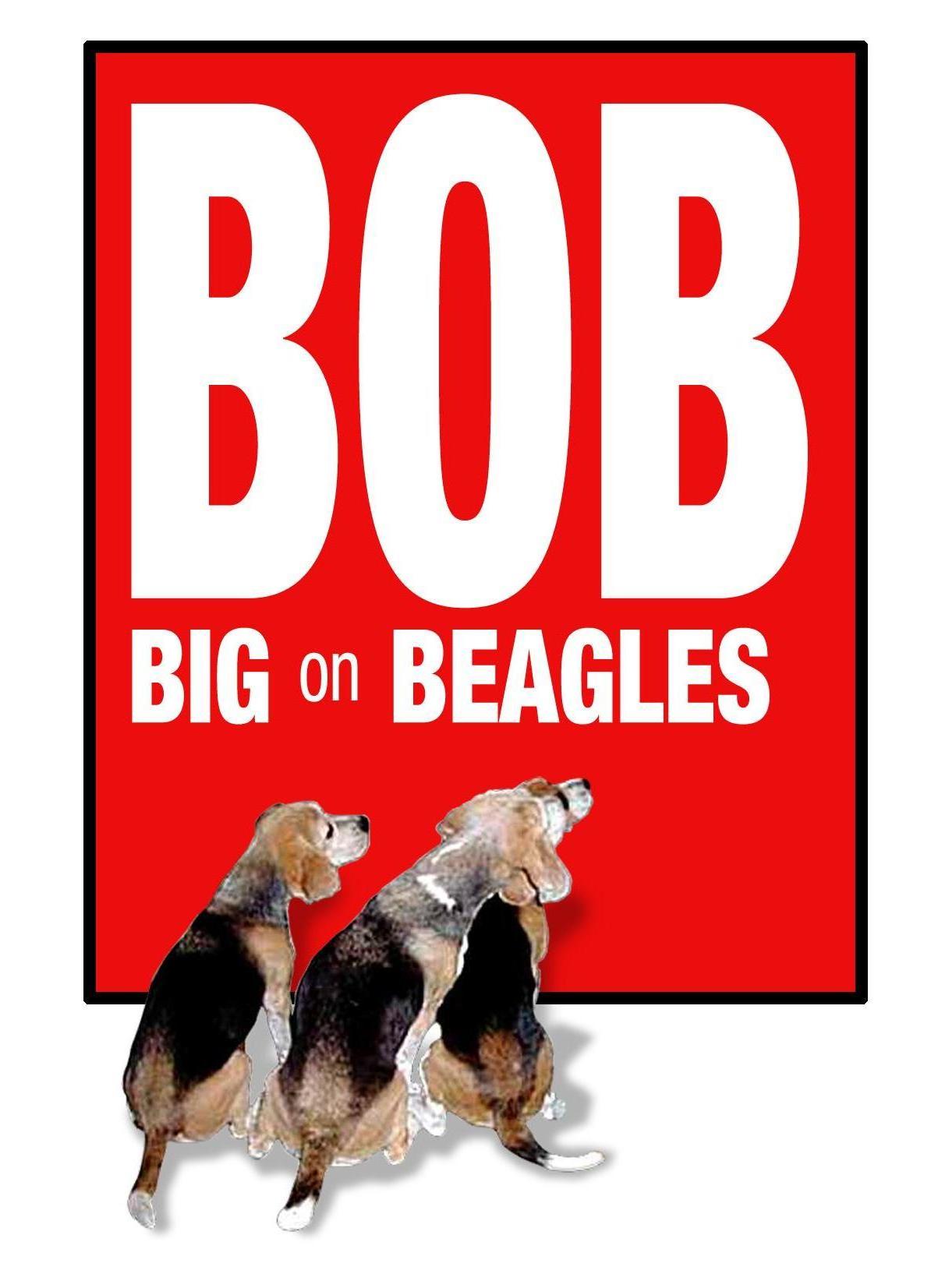 BIG ON BEAGLES RESCUE