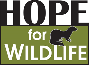 Hope for Wildlife Society
