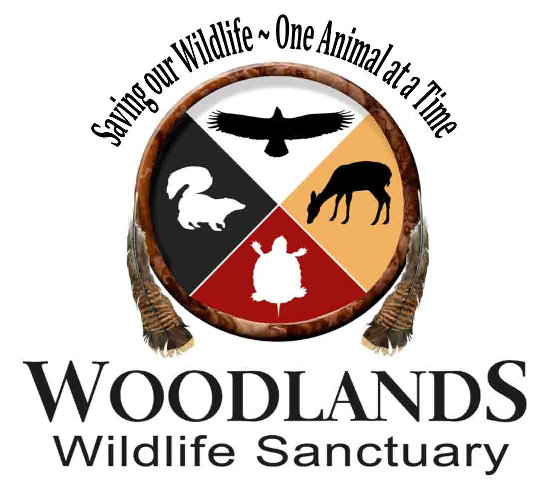 Woodlands Wildlife Sanctuary