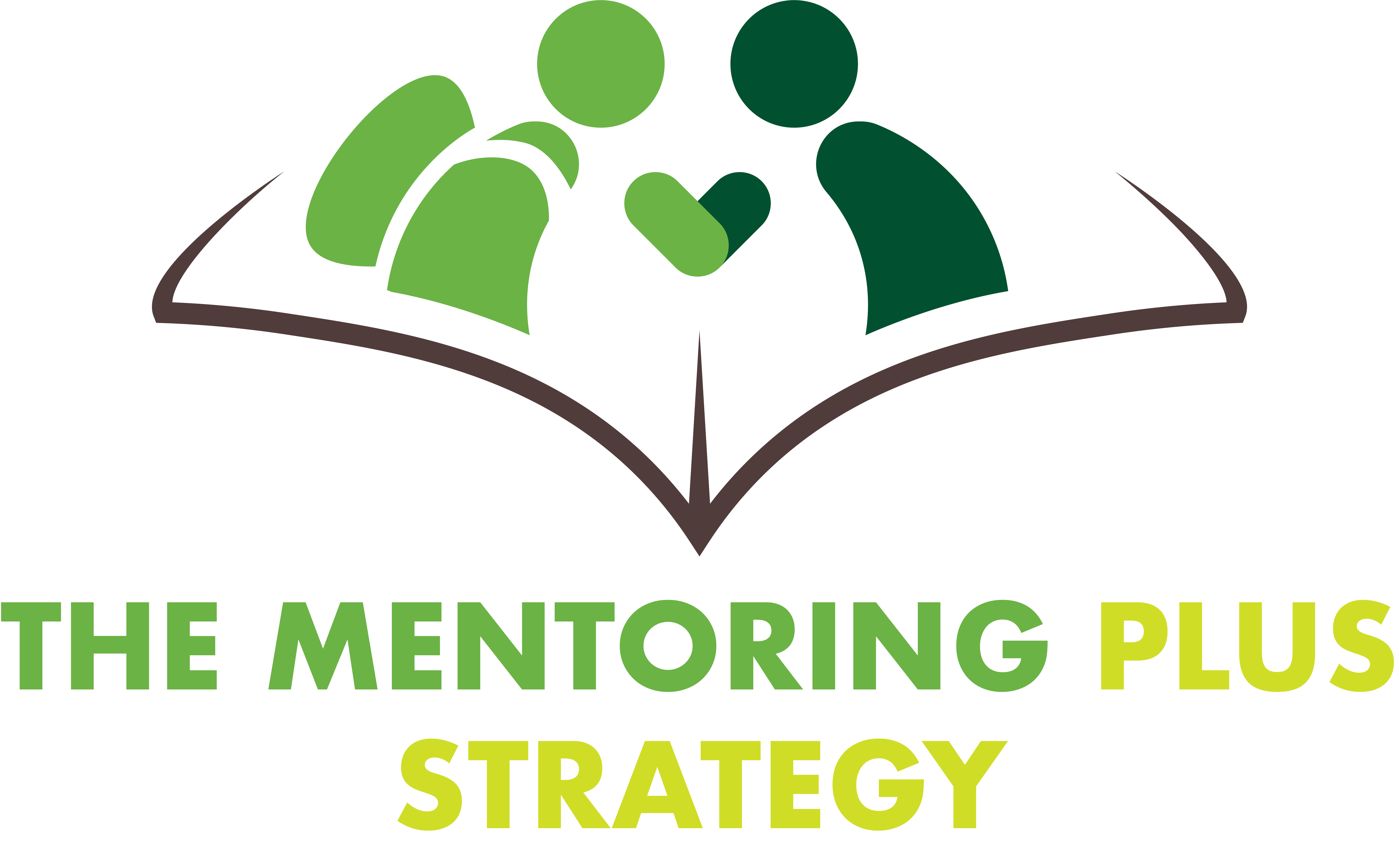 The Mentoring Plus Strategy
