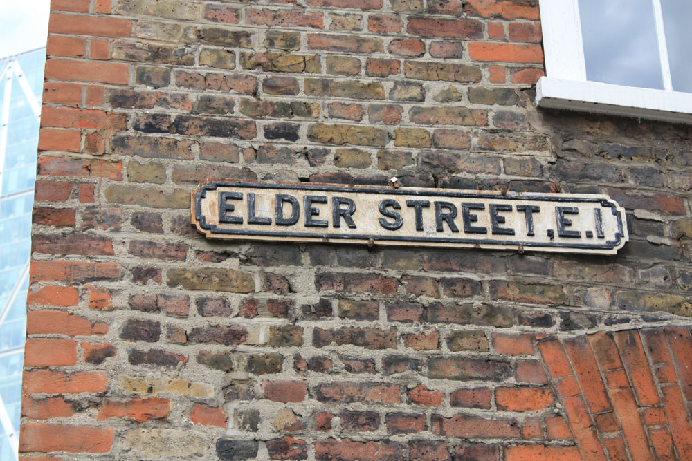 Engaging Our Elders: The Power and Potential of Senior Volunteerism